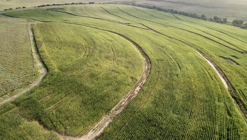 0 Bedroom Property for Sale in Harrismith Free State